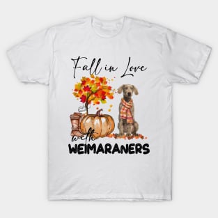 Fall In Love With Weimaraners Fall Pumpkin Thanksgiving T-Shirt